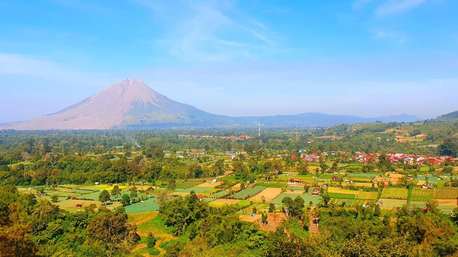 Ron'S Guest House Berastagi Backpacker Rooms ภายนอก รูปภาพ